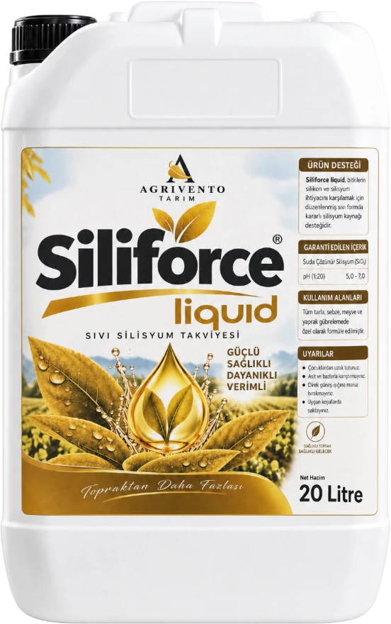 Siliforce Liquid 20 LİTRE