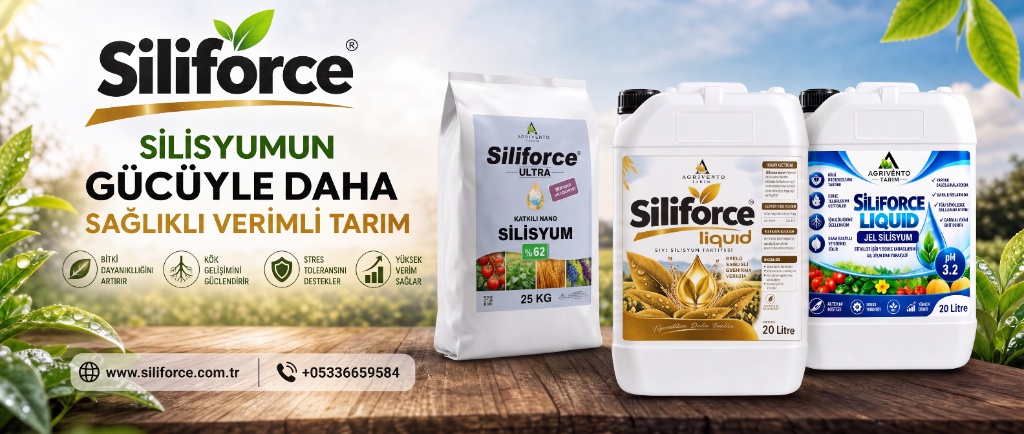 Siliforce ürün ailesi